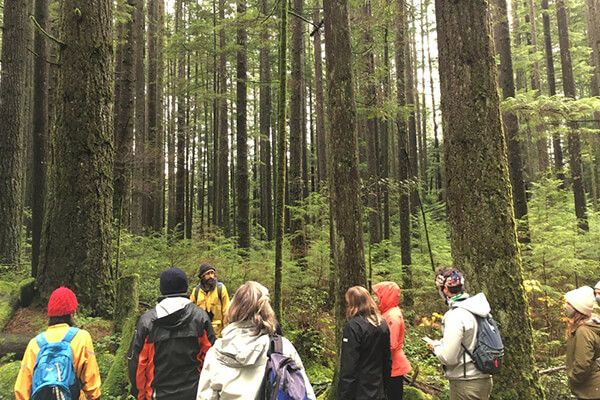 Wild Plant and Mushroom Foraging Rainforest Tour Vancouver